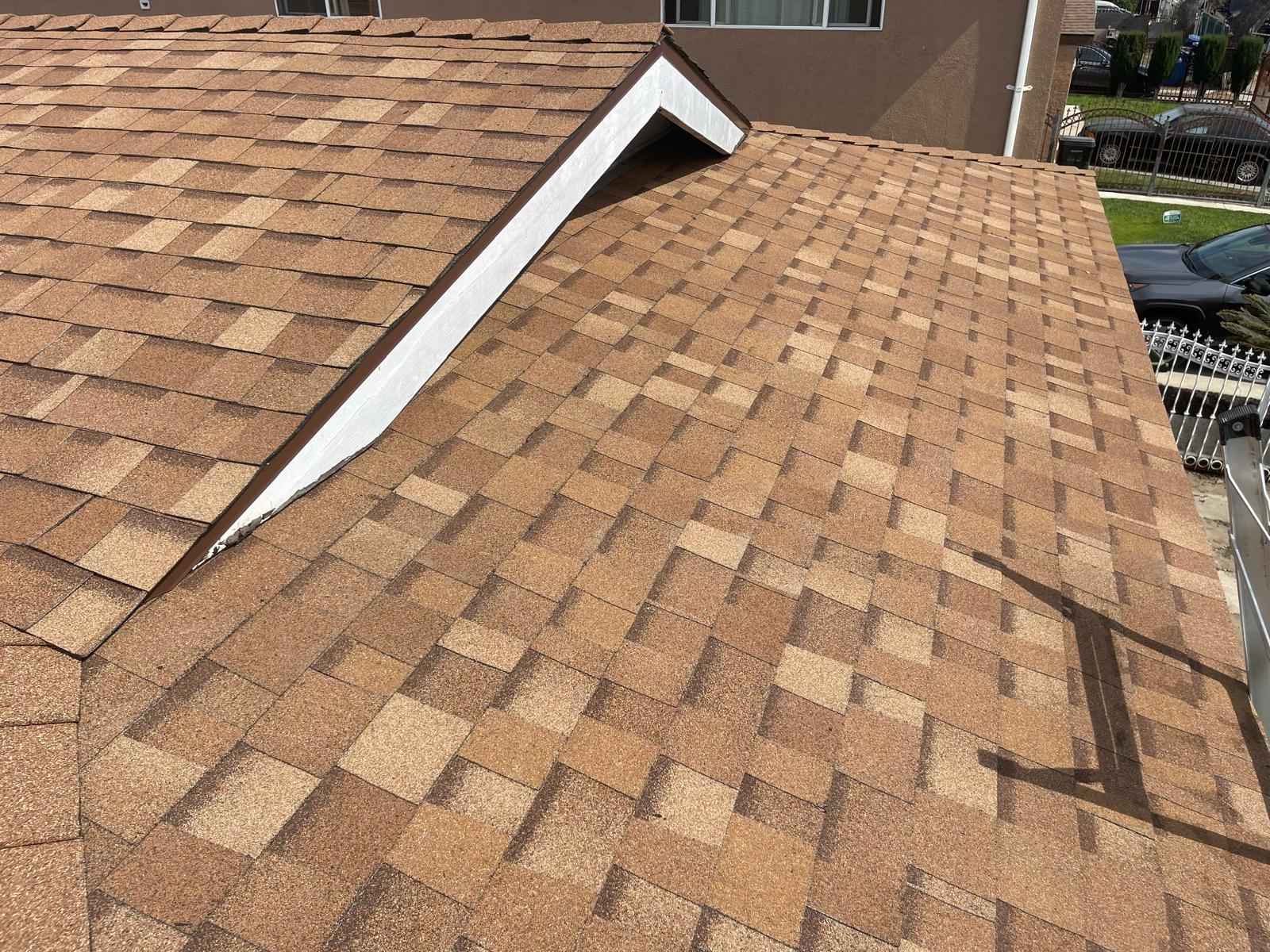 Roof Maintenance